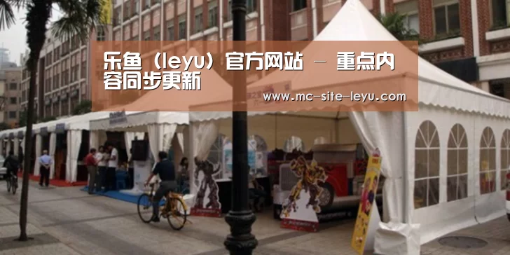 案例标题九