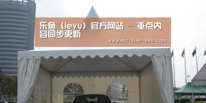 案例标题八