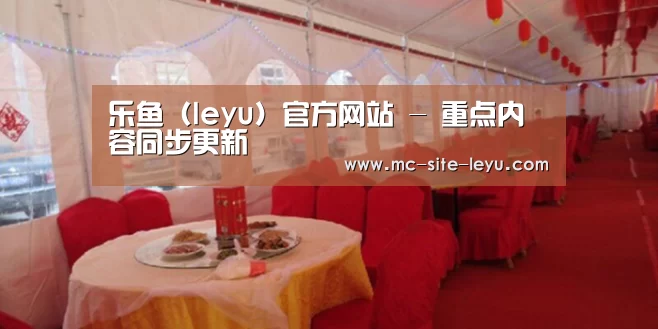 案例标题二