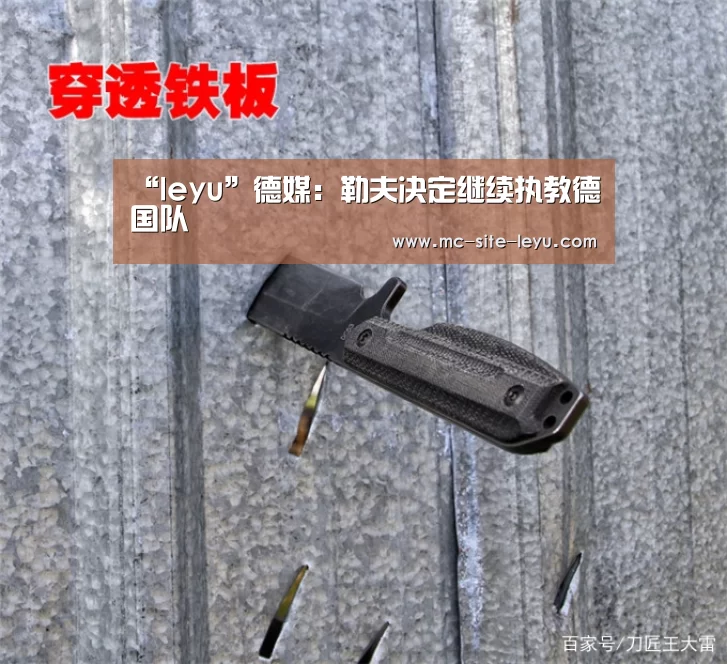 “leyu”德媒：勒夫决定继续执教德国队(图3)