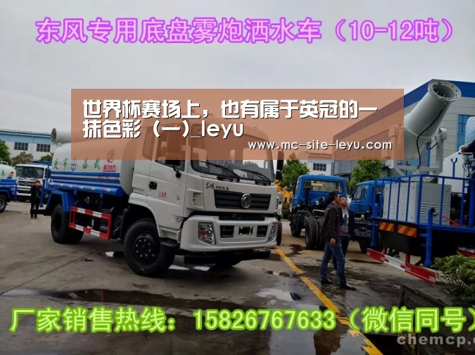 世界杯赛场上,也有属于英冠的一抹色彩 (一)_leyu(图4) 世界杯赛场上,也有属于英冠的一抹色彩 (一)_leyu(图4)