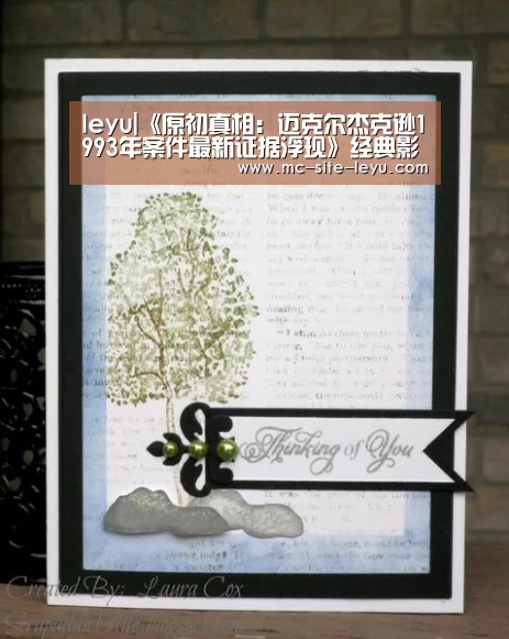 leyu|《原初真相:迈克尔杰克逊1993年案件最新证据浮现》经典影评1000