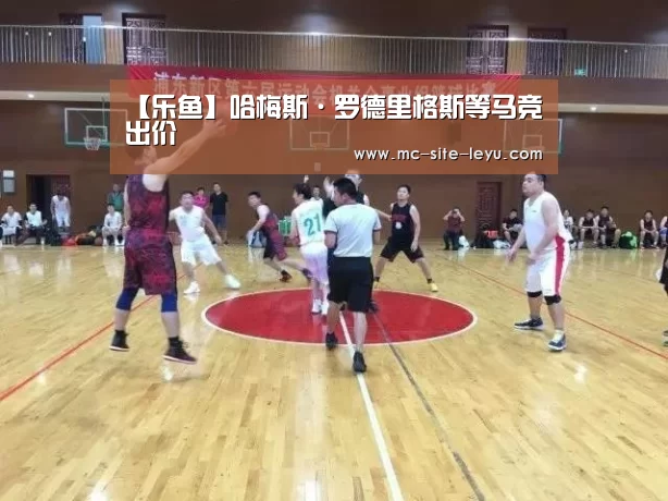 【乐鱼】哈梅斯·罗德里格斯等马竞出价(图3) 乐鱼体育