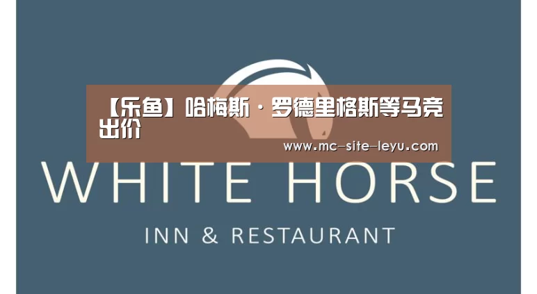 【乐鱼】哈梅斯·罗德里格斯等马竞出价(图4) 乐鱼体育